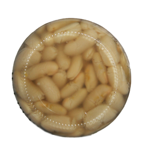 mogettes-bio-cuites-au-sel-de-noirmoutier